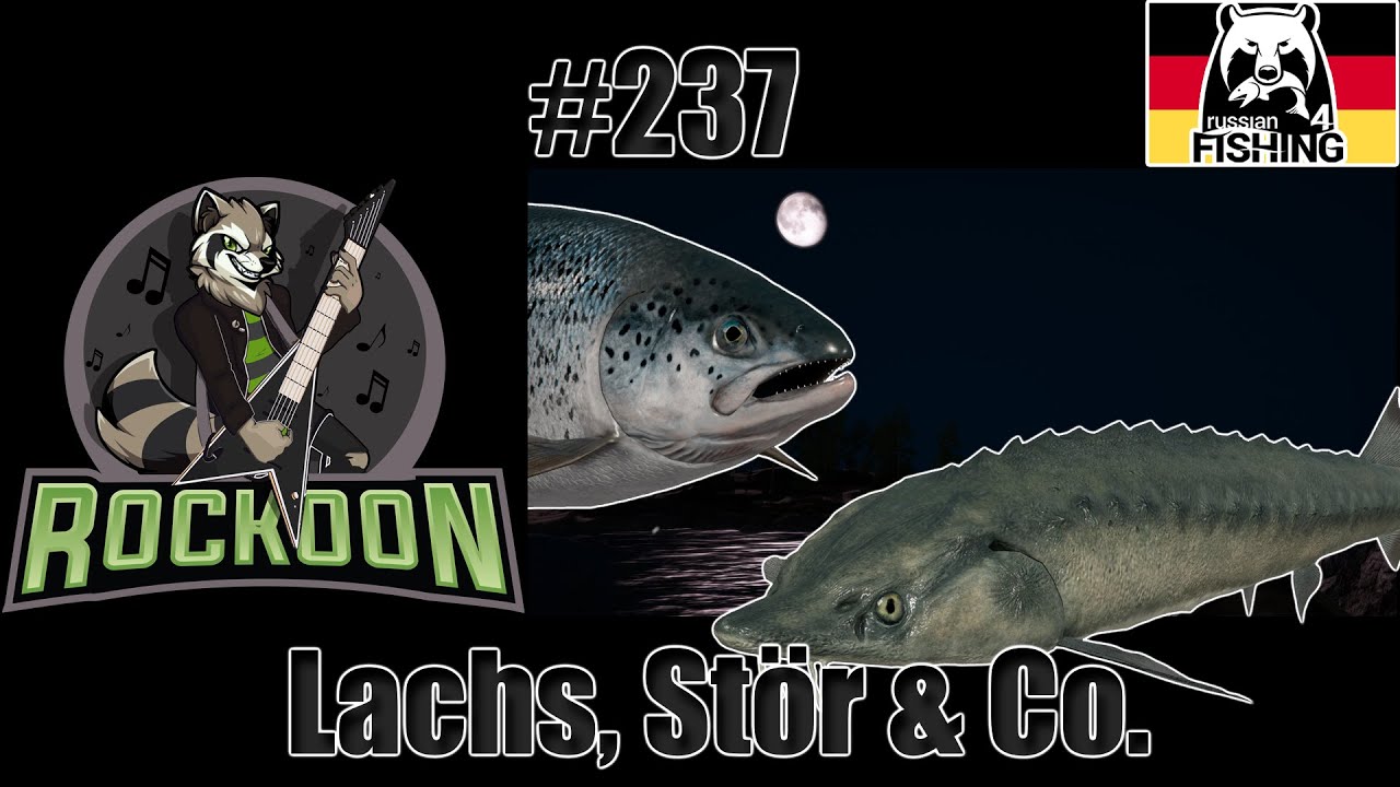 Rückkehr an's Ladoga Archipel, Lvl 27+ | Ladoga Archipelago | Russian Fishing 4 | #koontainment