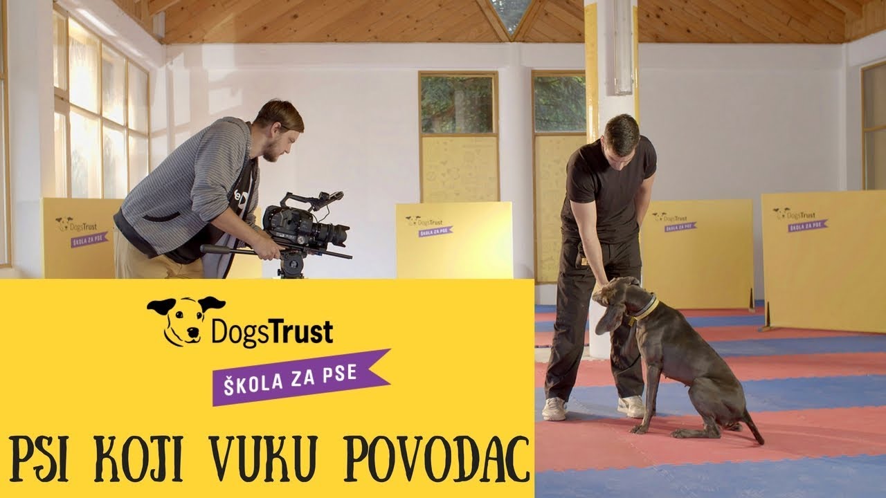 Psi koji vuku povodac