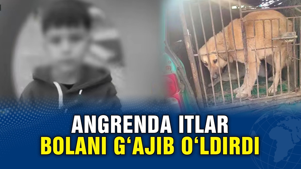 ANGRENDA ITLAR BOLANI G’AJIB O’LDIRDI