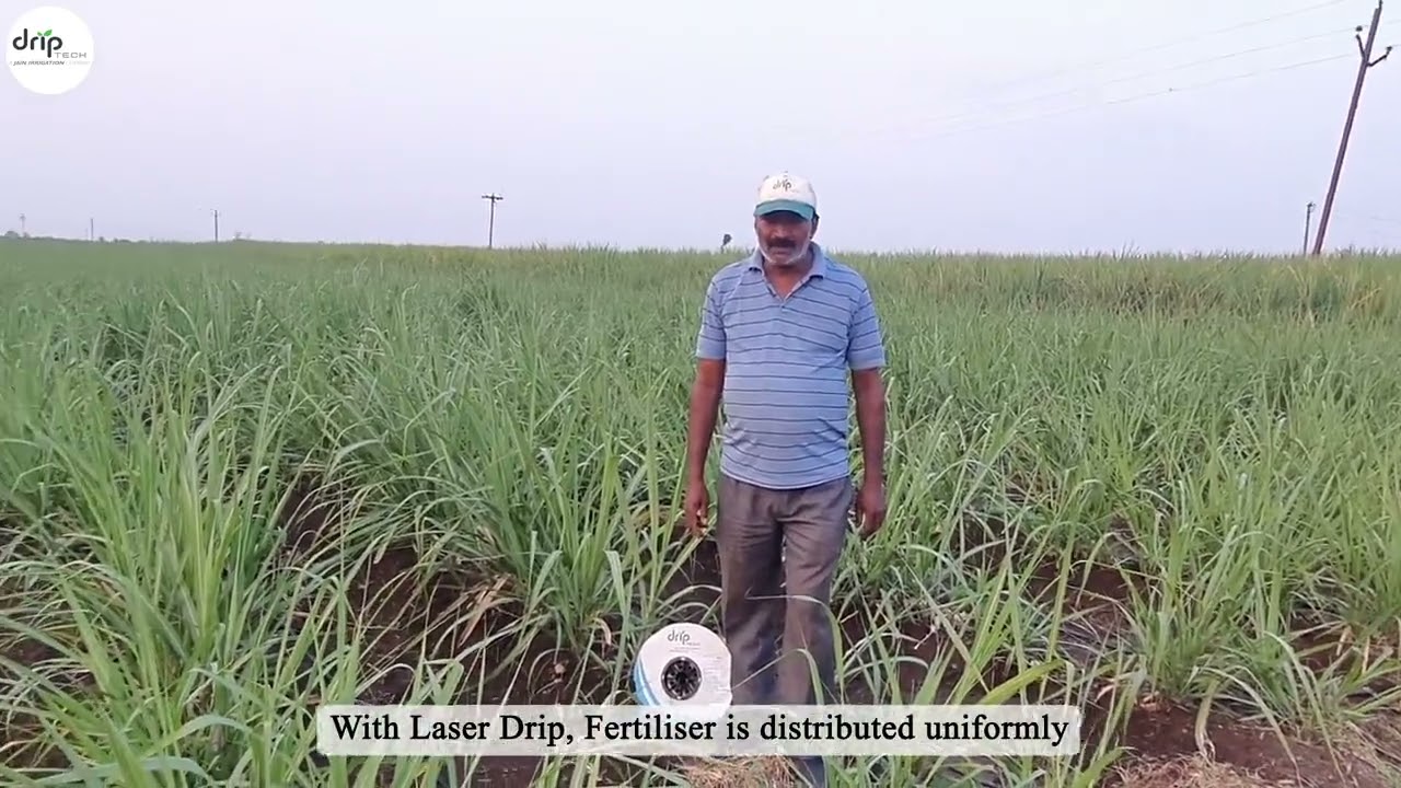Laser Drip By Driptech India Pvt Ltd.