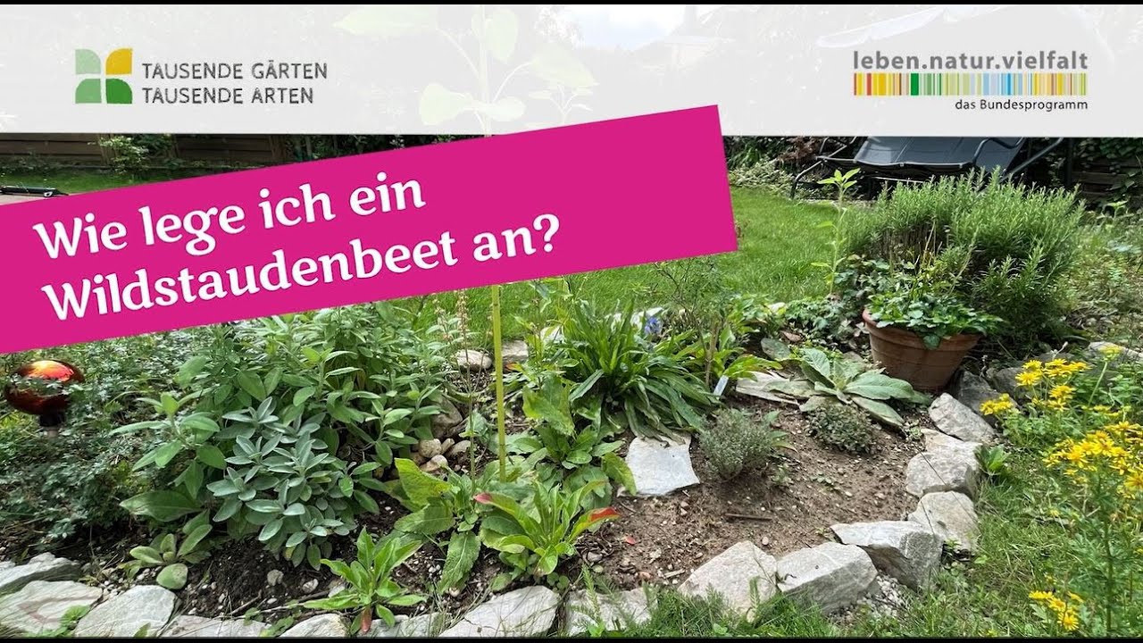 Wie lege ich ein Beet mit heimischen Wildstauden an?
