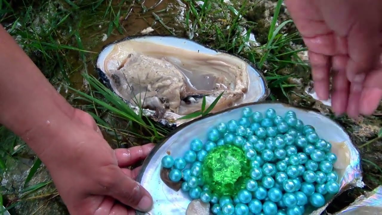 Freshwater clams hide huge pearls, and the girl's hand trembles when it opens, it's too big