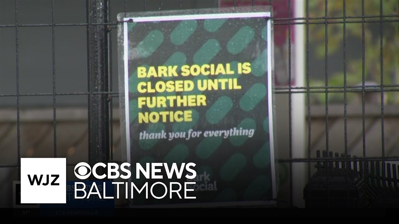 Maryland-based dog bar Bark Social announces abrupt closure with plans to file for bankruptcy