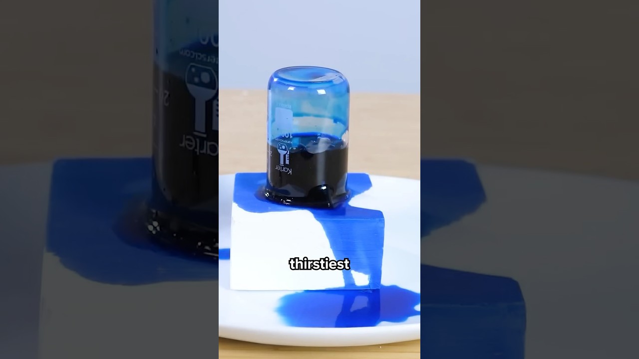 I Tested the World&rsquo;s Strongest Sponge