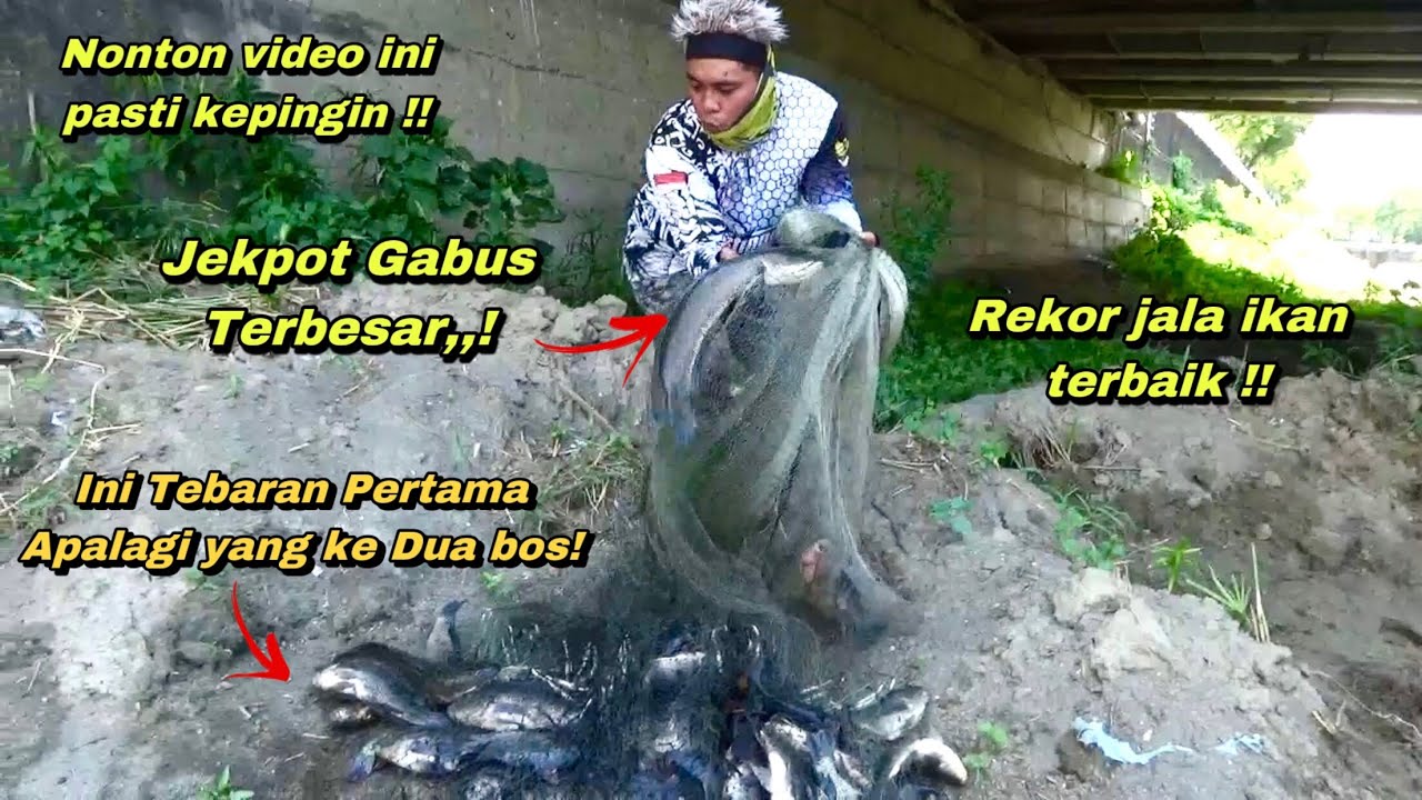 JALA IKAN TERBARU PERTAMA DI DUNIA SEKALI TEBAR JEKPOT GABUS BESAR