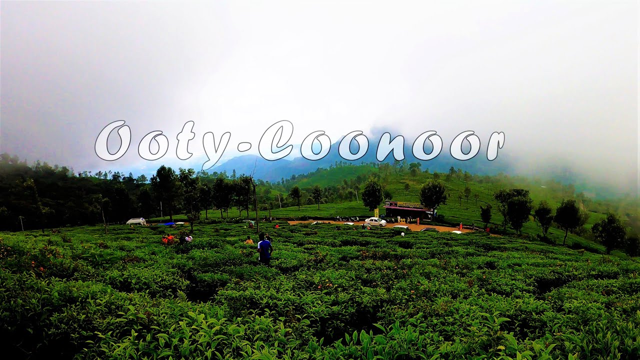 Ooty-Coonoor || Day-1 || Tea Factory || Ooty Lake || Tea Garden ||  #ooty #niligiri #Coonoor
