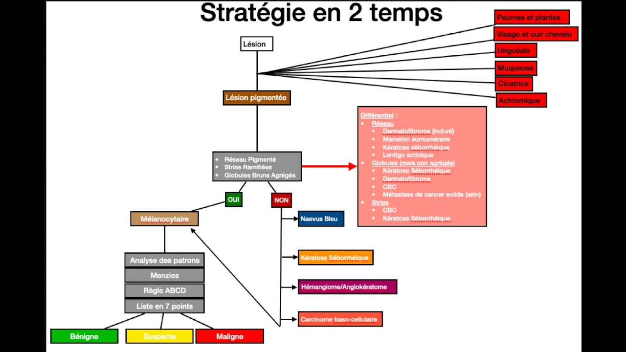 Algorithme en 2 étapes : Etape 1 : Mélanocytaire ou pas?
