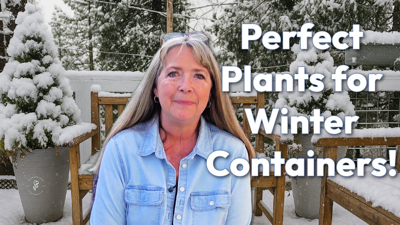 10 Hardy Plants for Winter Containers That Survive Cold Weather!