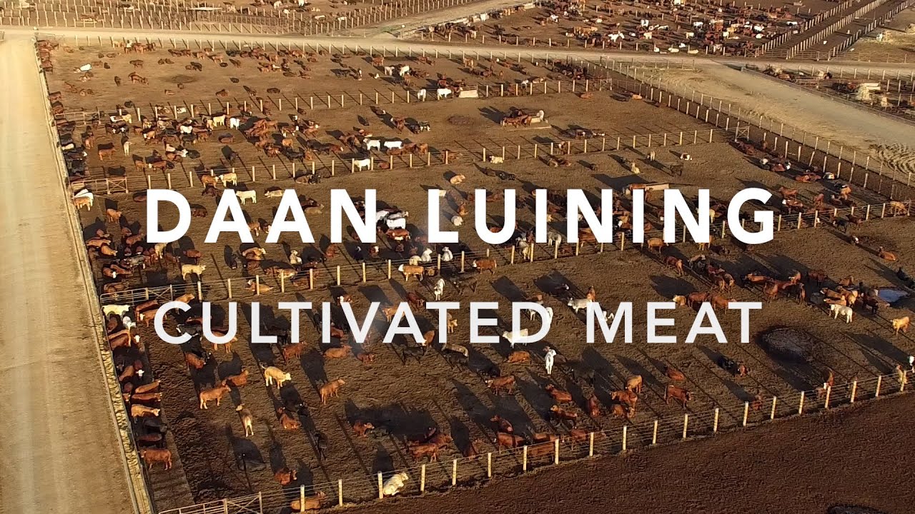 Making Cultivated Meat