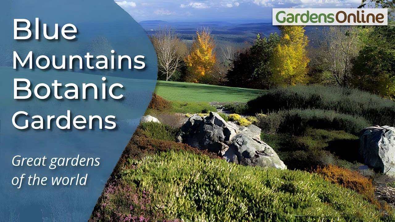 Blue Mountains Botanic Gardens, Mount Tomah - Review