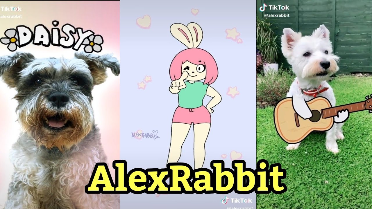 Alex Rabbit | TikTok Compilation from @alexrabbit #5