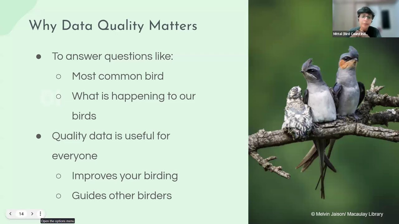 Great Backyard Bird Count में कैसे सही तरीके से भाग लें