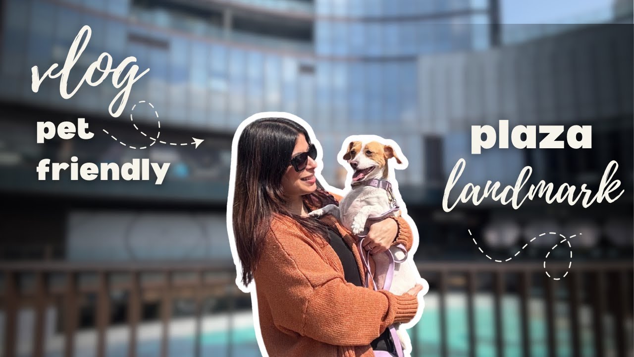 Видеоблог о местах, где разрешено находиться с домашними животными 🐶 | The Landmark en Guadalajara