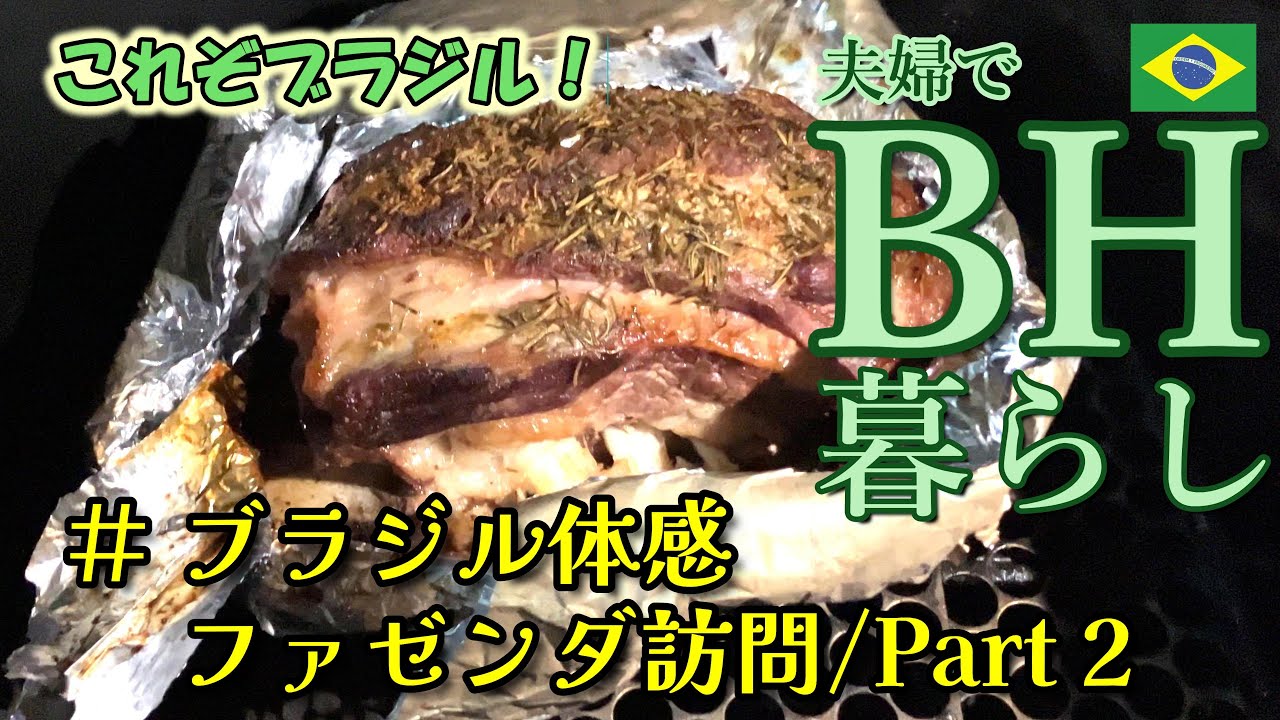 コーヒー農園でブラジル体感 2　BH暮らし　#ファゼンダ訪問 Part 2