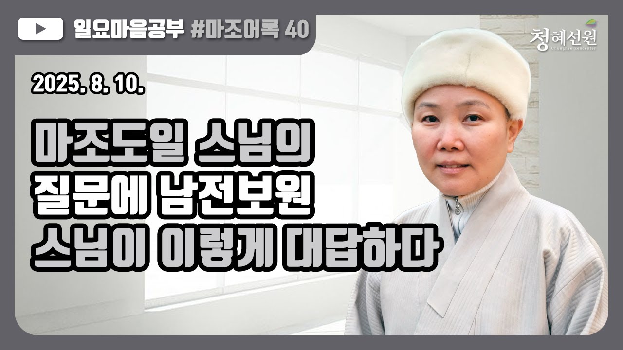2025.08.10. [청혜선원] 일요공부ㅣ마조어록  제40회  제3부 만남의 인연 2. 통 속의 일  