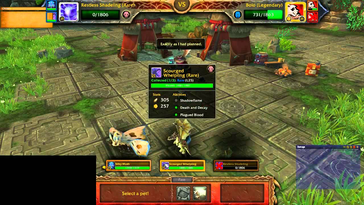 Celestial Tournament - Taran Zhu (exemplary setup)