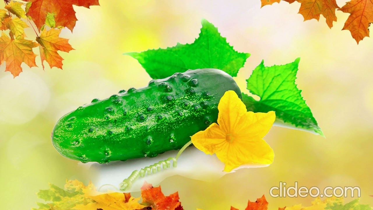 Заняття з розвитку мовлення 