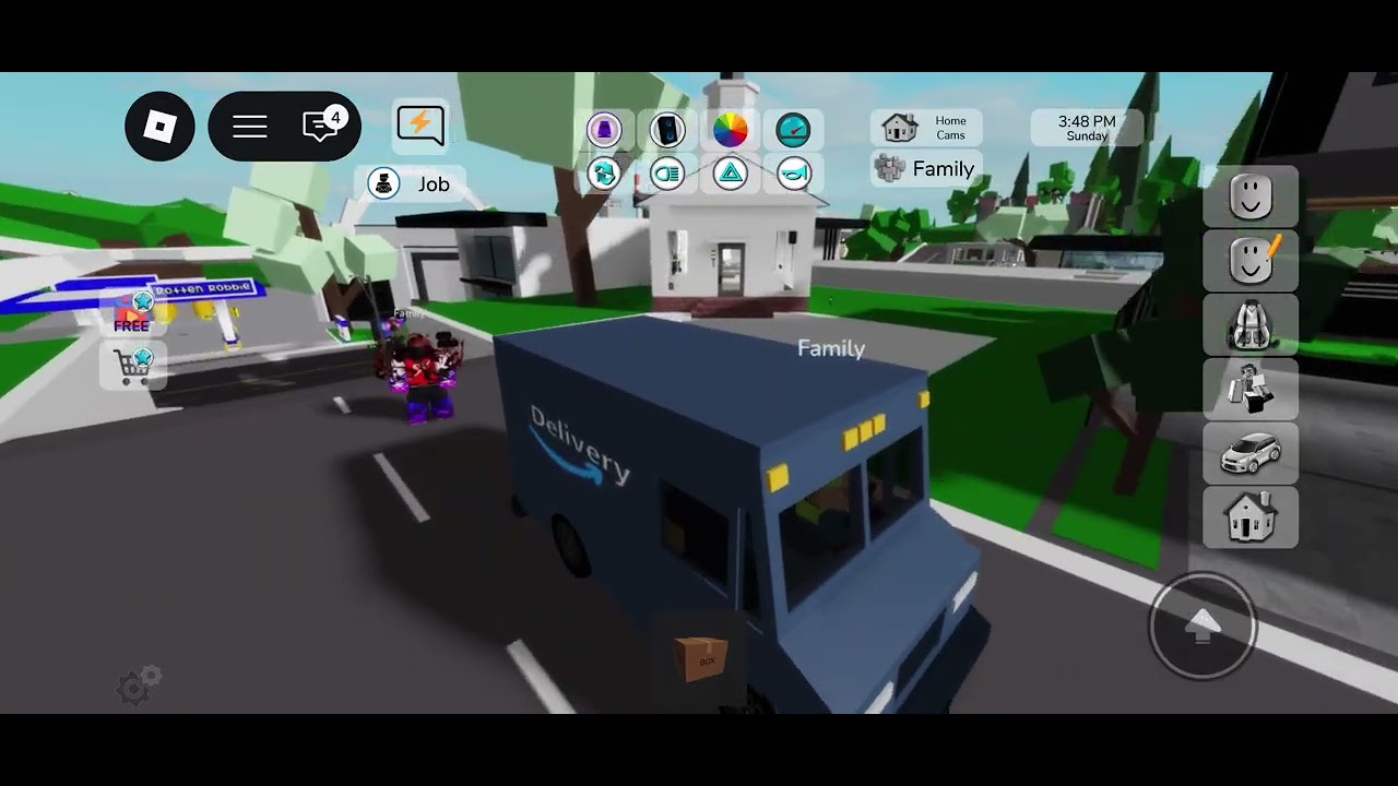 THE MALLMAN AT BROOKHAVEN RP