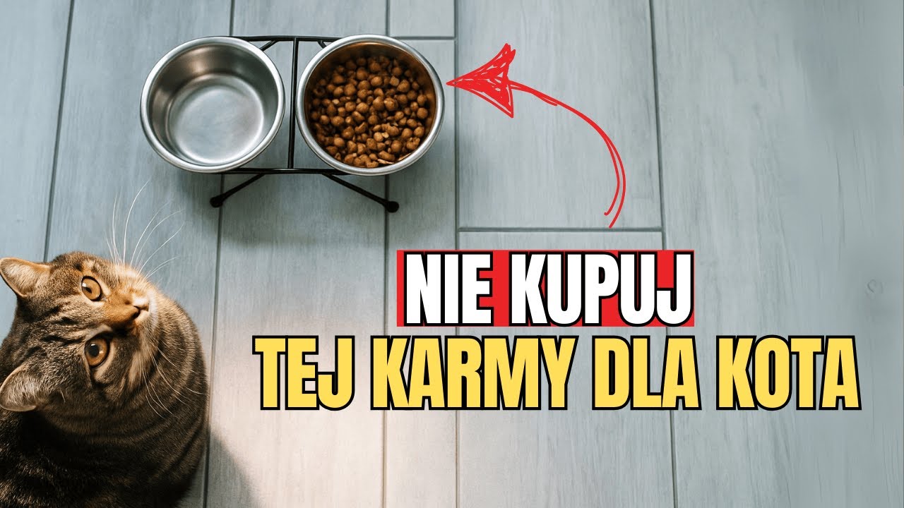 Jak w 9 sekund odróżnić dobrą karmę dla kota od złej