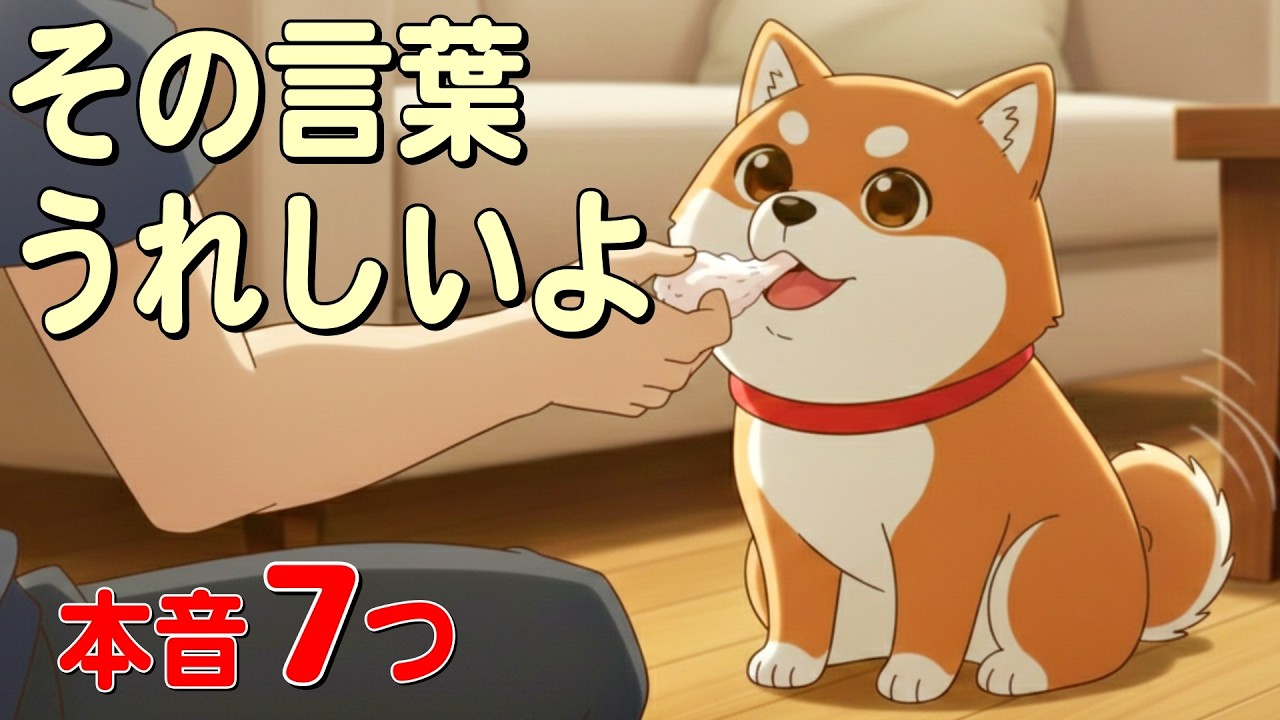 【犬雑学】実は犬が言われてうれしい声かけ7選｜柴犬ダッシュ