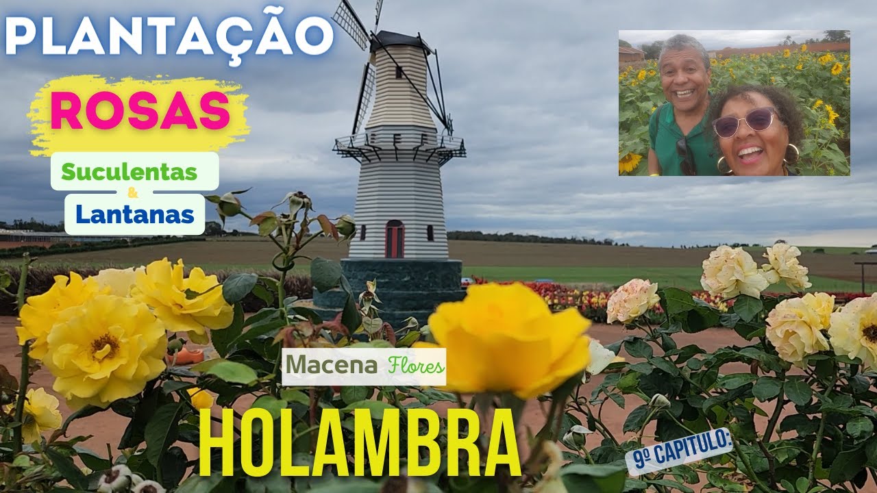 SÉRIE HOLAMBRA - CAP  9 - PRA APAIXONADOS POR PLANTAS E FLORES |  Macena Flores, Rosas, Lantanas