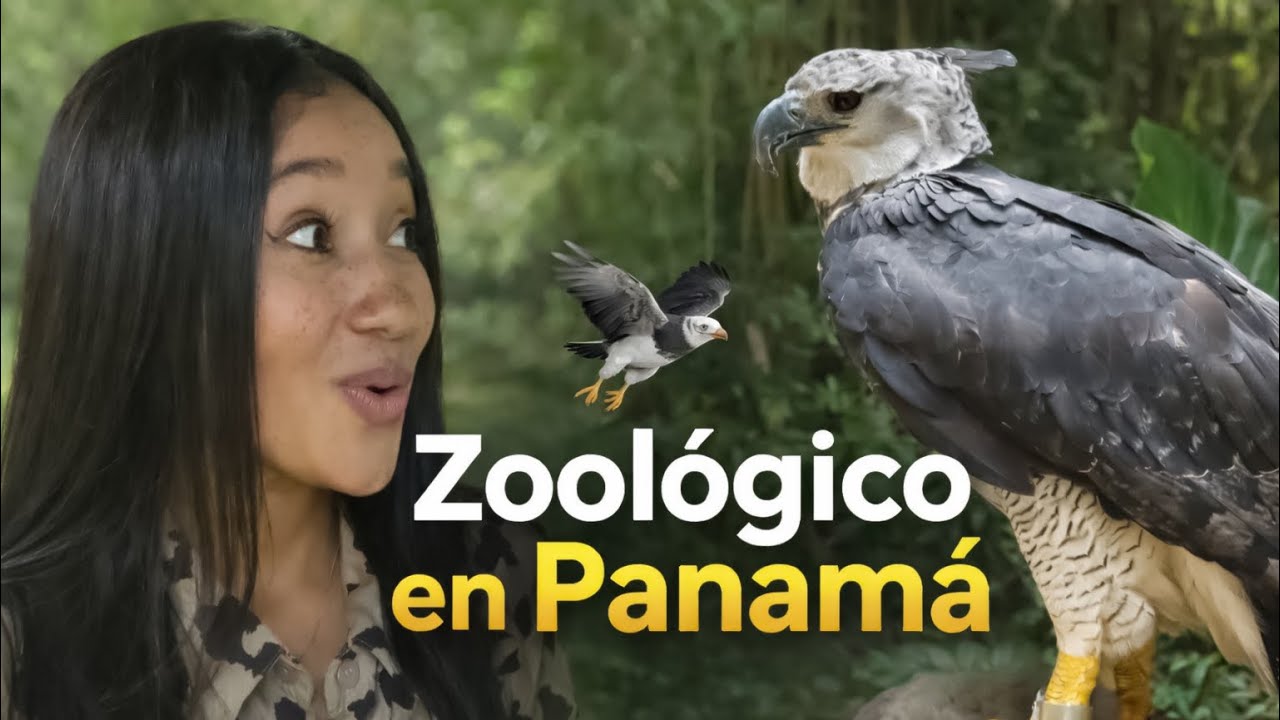 Zoológico en Panamá: precios, historia y cómo llegar | Parque Summit