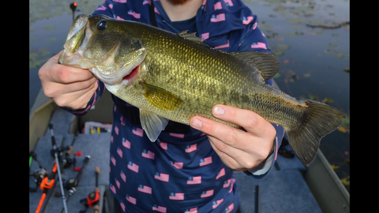 Fishing Silver Lake For Bass and Tiger Muskie | Spokane Washington