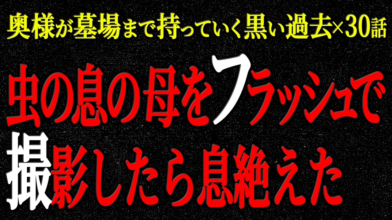 【2chヒトコワ】奥様が墓場まで持っていく黒い過去（短編集66）【人怖】【睡眠】【作業用】