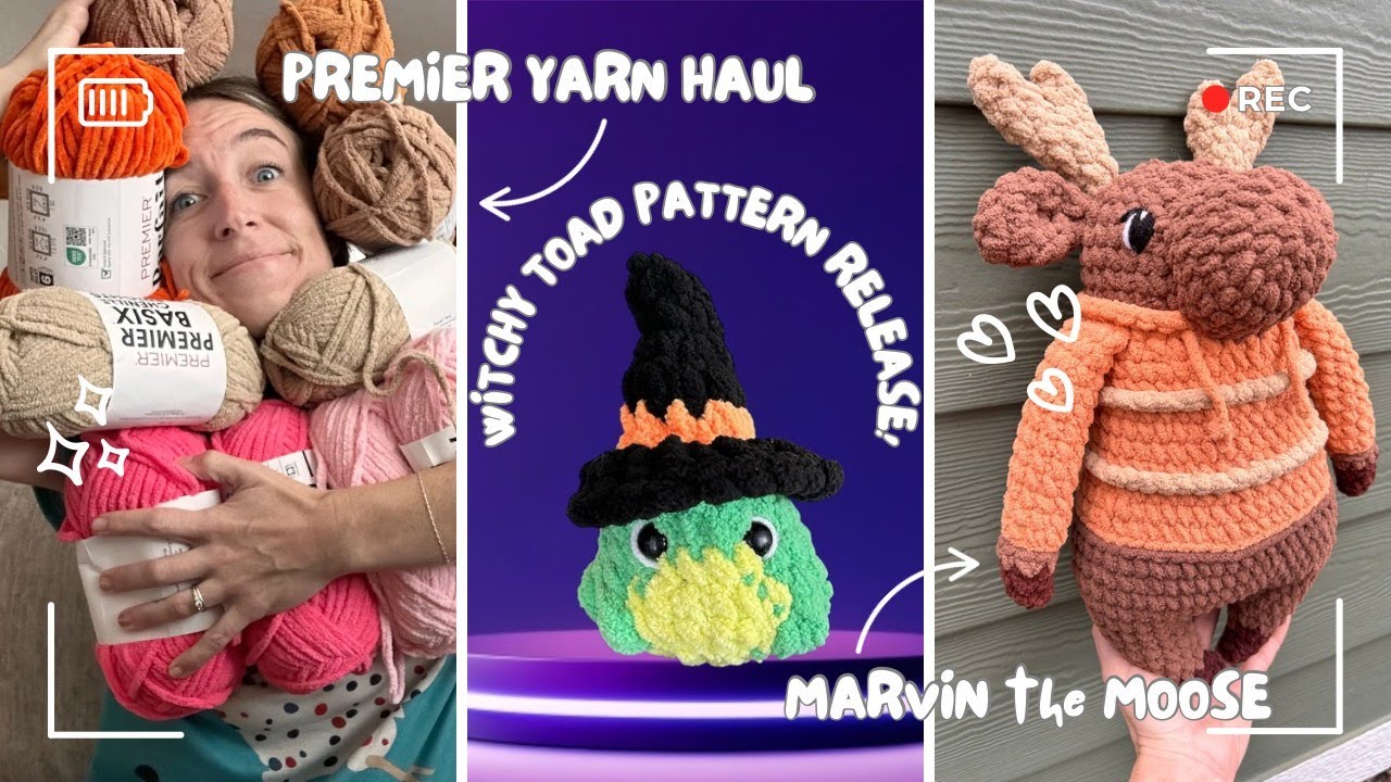 Witchy Toad Release! Plus a Book Shop Tour, 2 More Pattern Tests, and Lots of Yarn