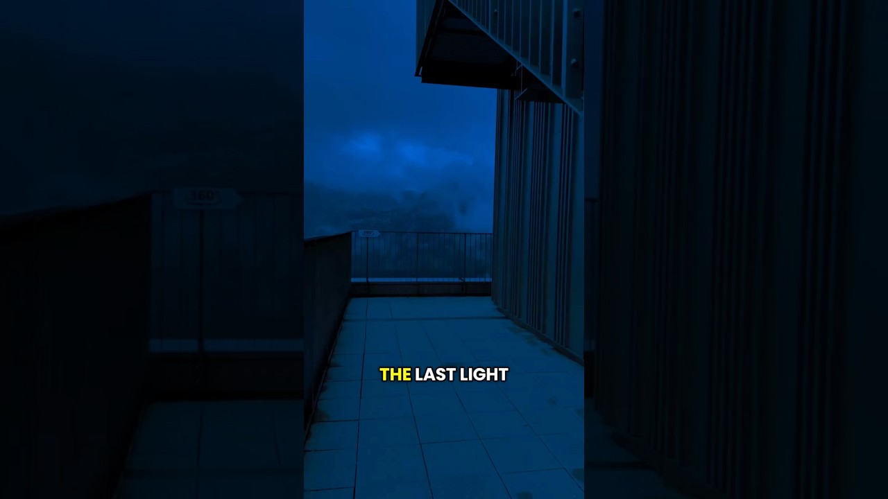 She Whispered &ldquo;Just One More Night&rdquo; &ndash;A Short Emotional Story About Survival and Quiet Strength#story