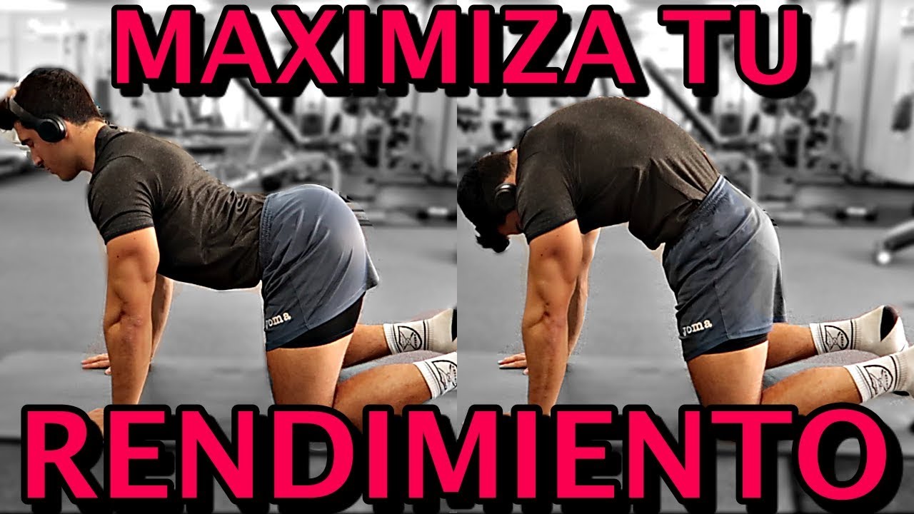 CALENTAMIENTO Y ACTIVACIÓN MUSCULAR Previa Al ENTRENAMIENTO| Explicación