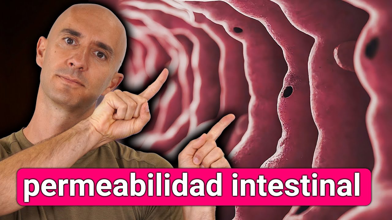 Permeabilidad Intestinal 💣 ALIMENTOS detonantes que dañan tu intestino
