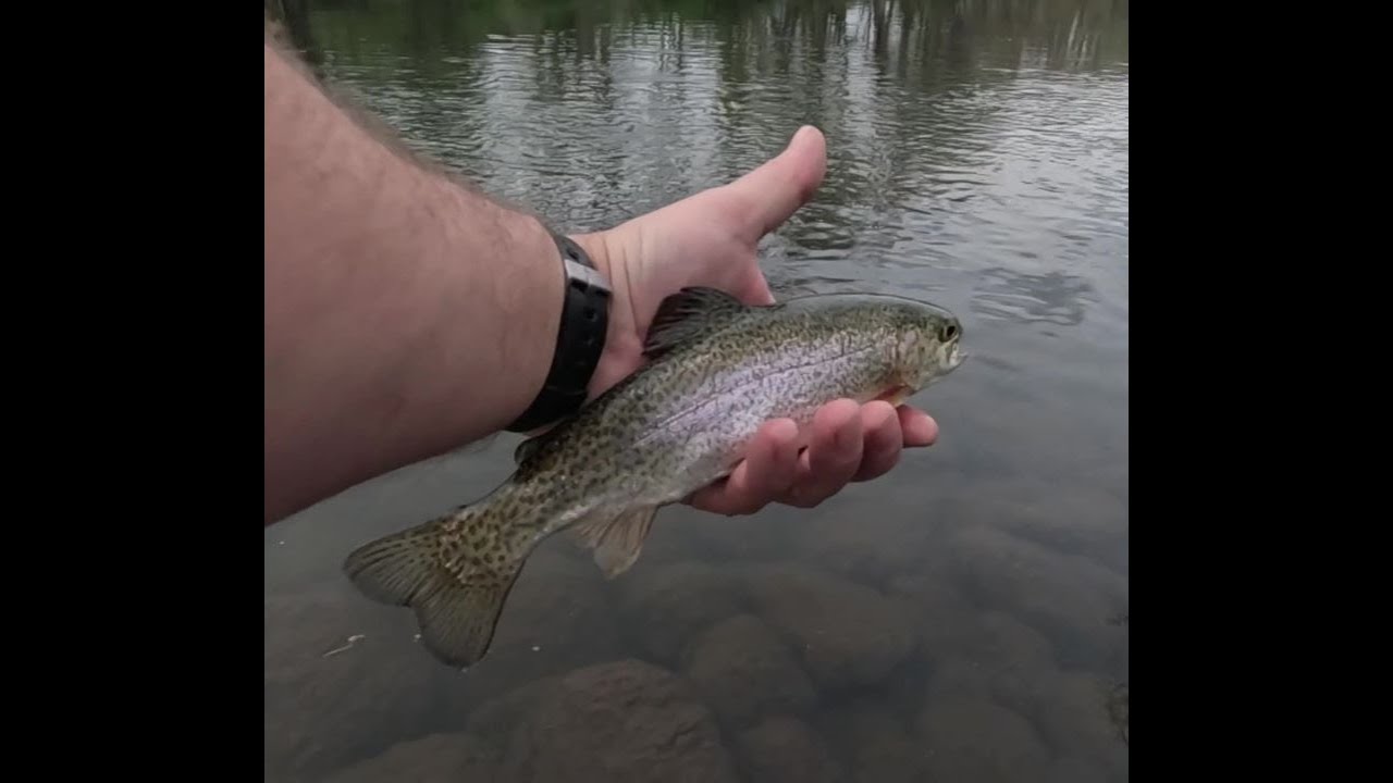 How I Choose What Size Lure To Use