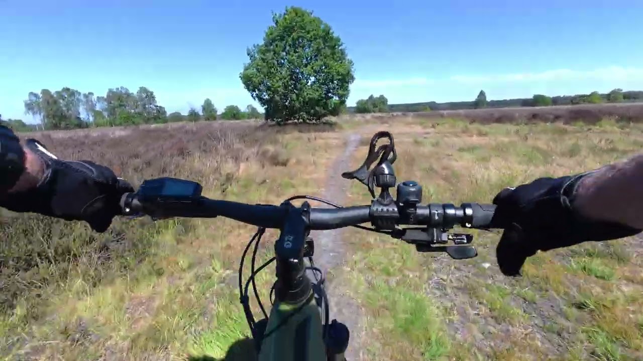 Cannock Chase by mountain bike - 12/07/25