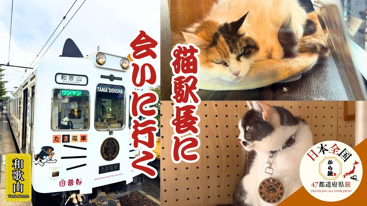 【奇跡】天国に旅立つ前に会えた！世界中の人々に愛されたニタマ駅長！【和歌山】