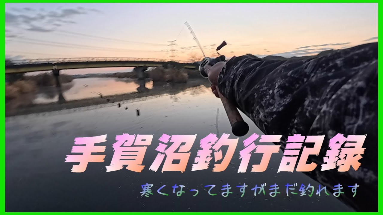 【バス釣り】11月の手賀沼釣行編　手賀沼バサーさん達と釣行させて頂きました　　