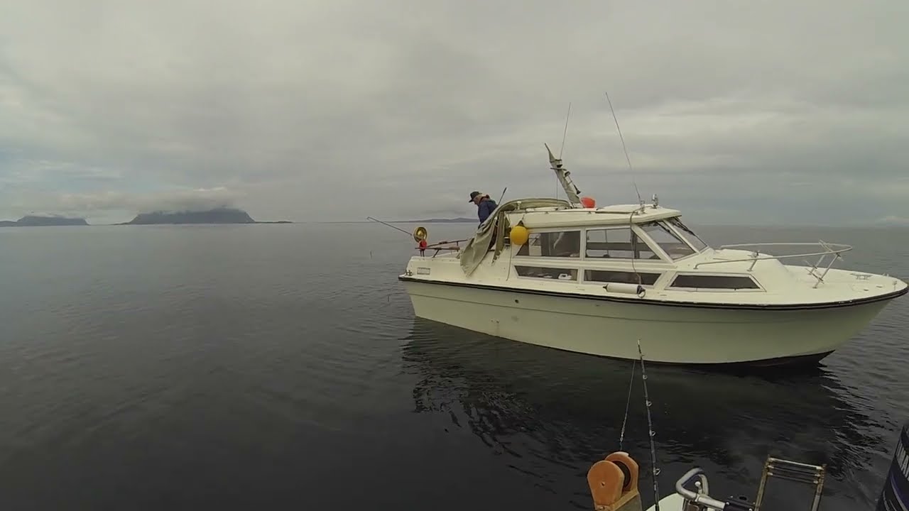 Veteraner på Kolkjeftfiske