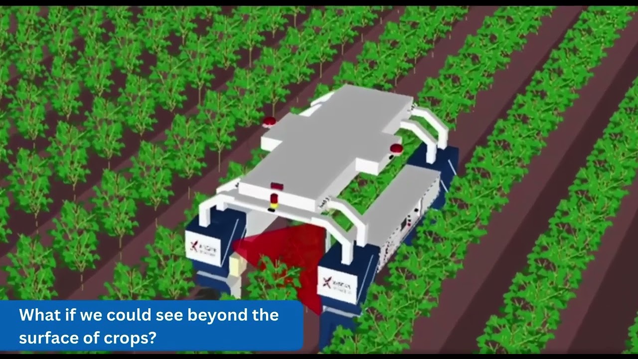 Integrating advanced X-ray imaging into mobile robotics for under-canopy crop detection - topfarm.vn