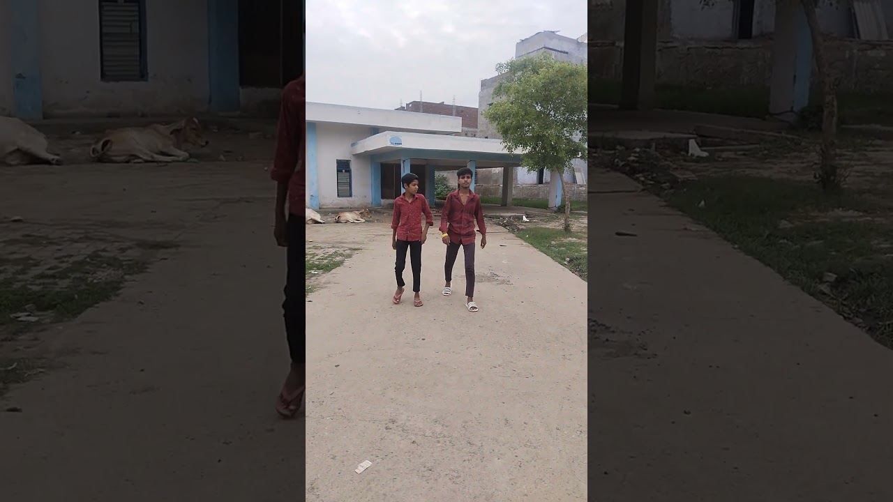 mat tak rave shero se tero ghar🤘🤘#short video