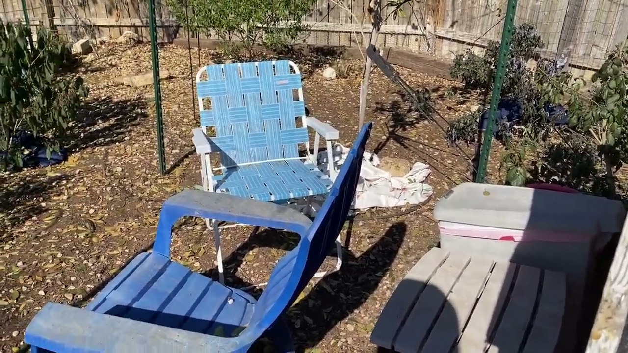How to Help Your Backyard Chickens When It's Below Freezing Temps