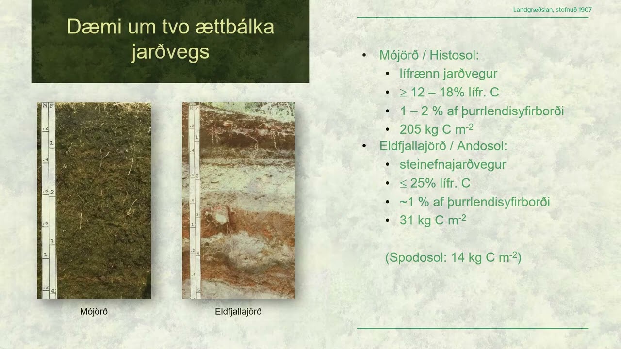 Dagur jarðvegs 2021