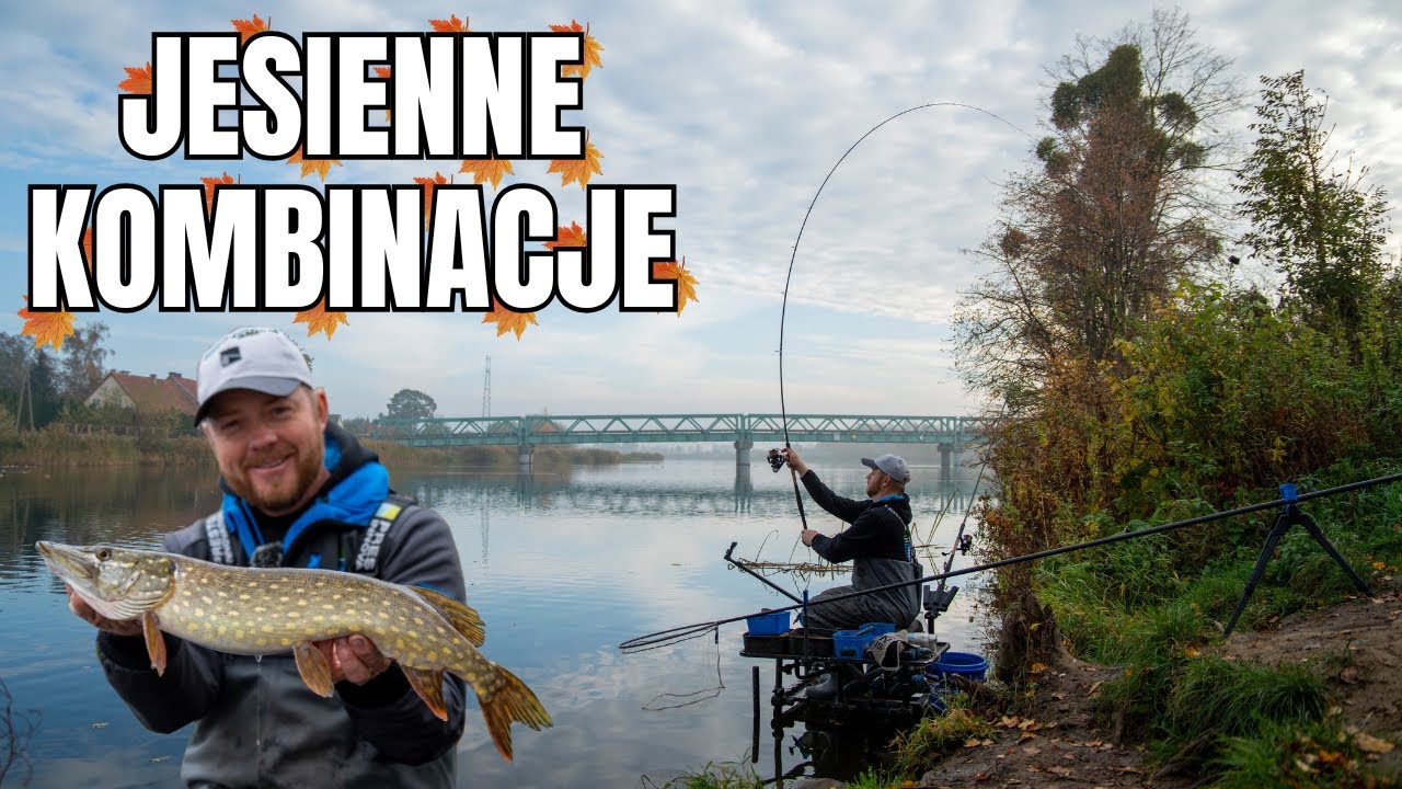 Jesienne KOMBINACJE | Adam Niemiec
