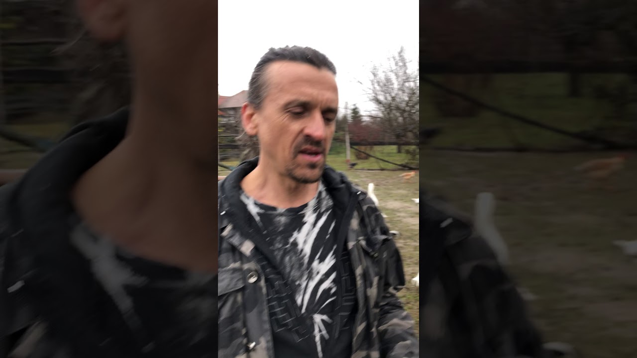 Kaukázusi juhász vlog 5. rész/ Szombathelyi Tibinél, előnevelés