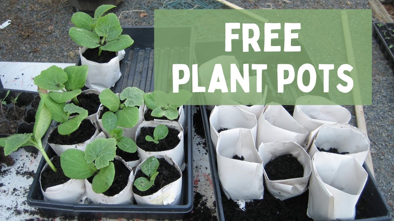 Newsprint Garden Pots