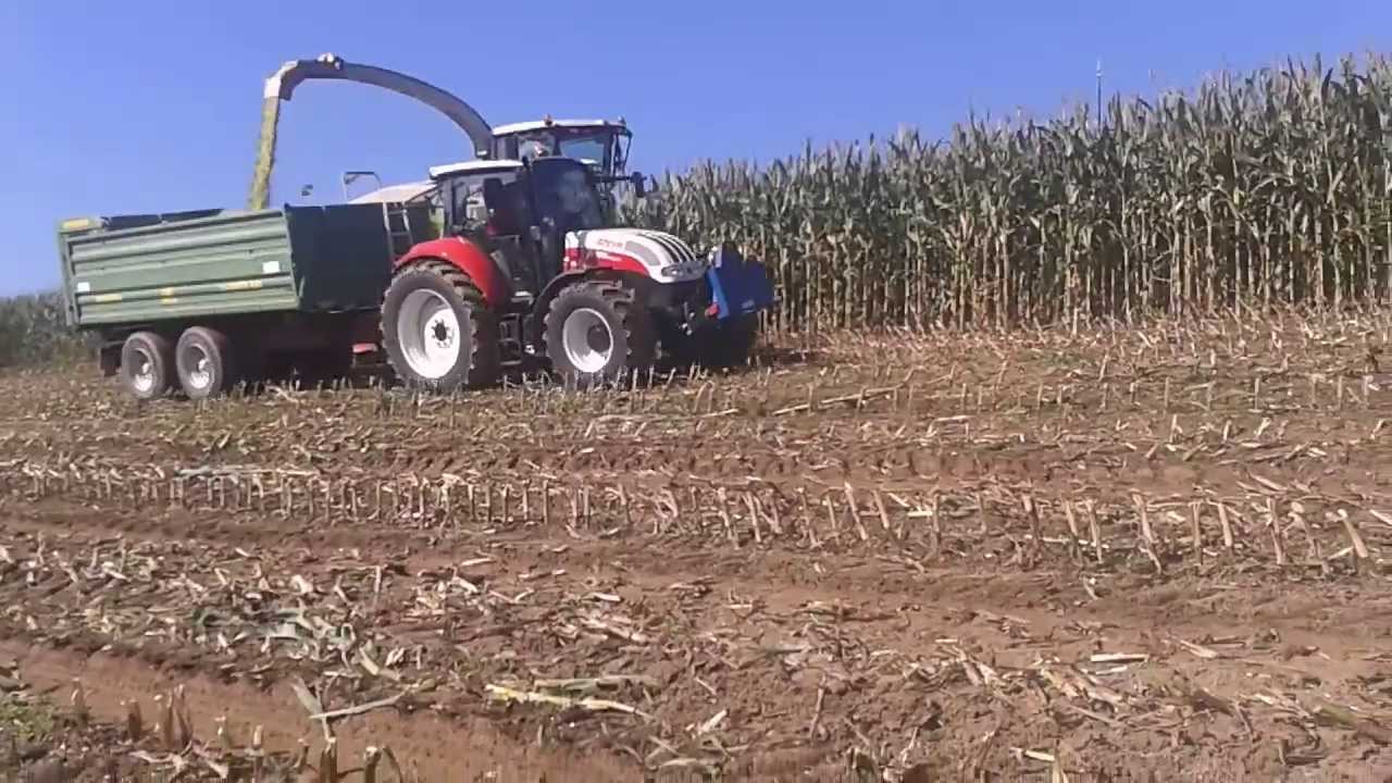Steyr Multi