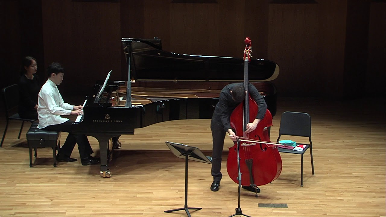 Nino Rota - Double Bass Concertante (1mov)