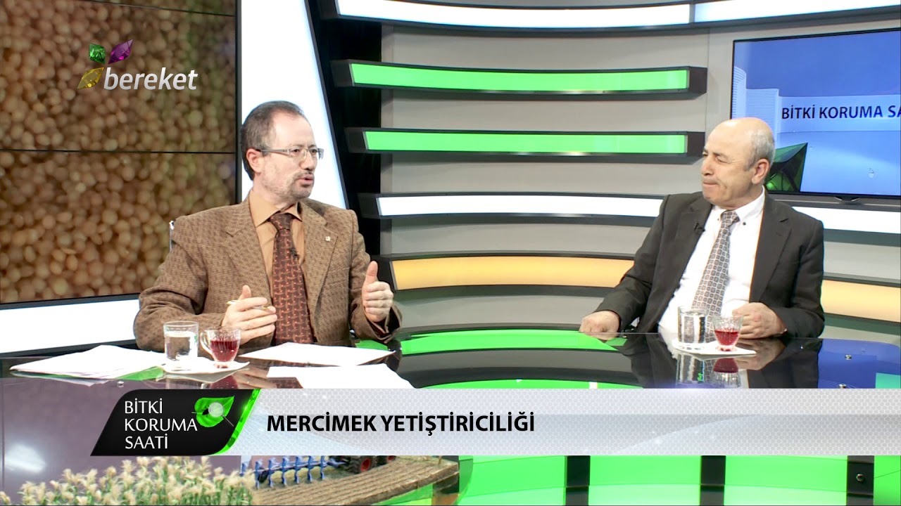 Bitki Koruma Saati - Mercimek Yetiştiriciliği