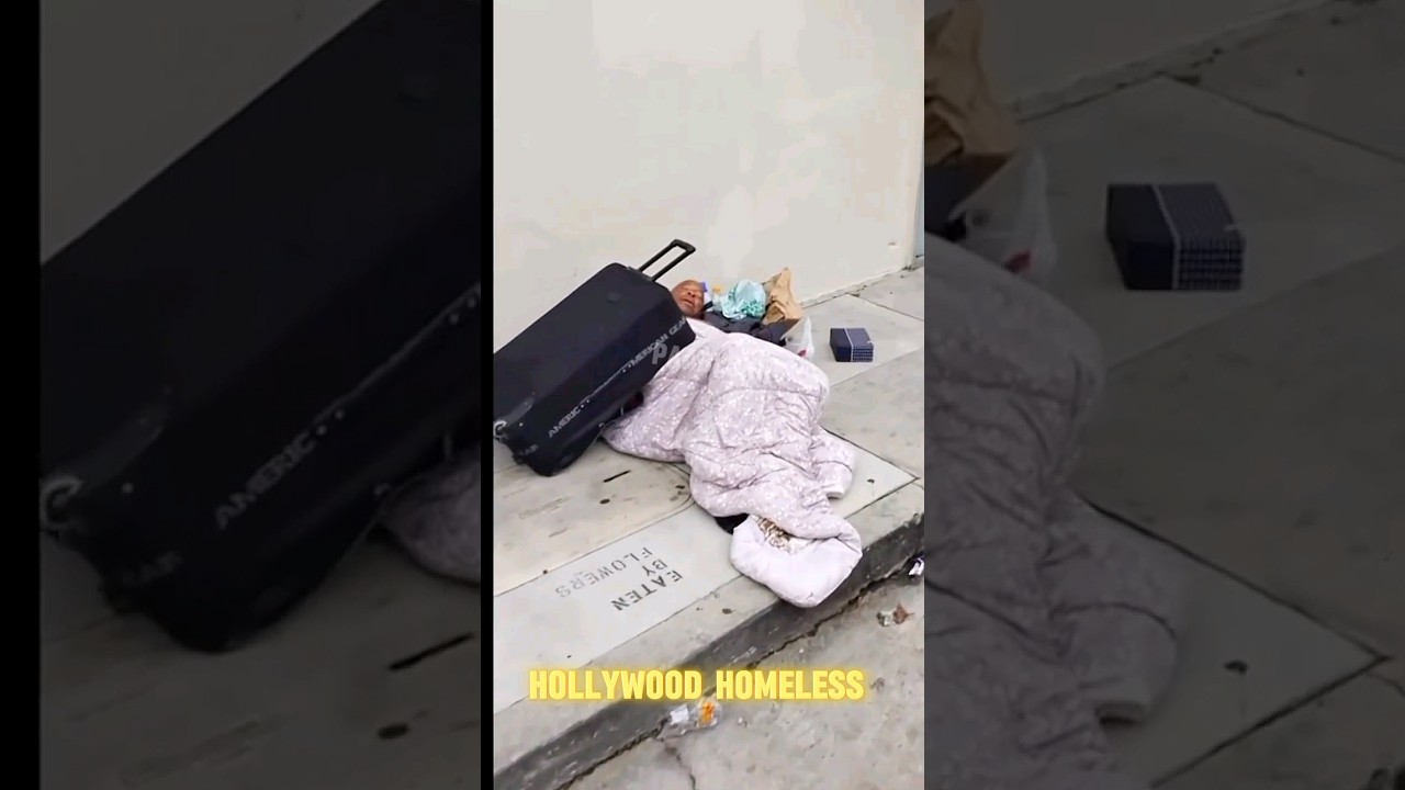 Stars and Sidewalks: The Realities of Life in Hollywood 😮 #homeless