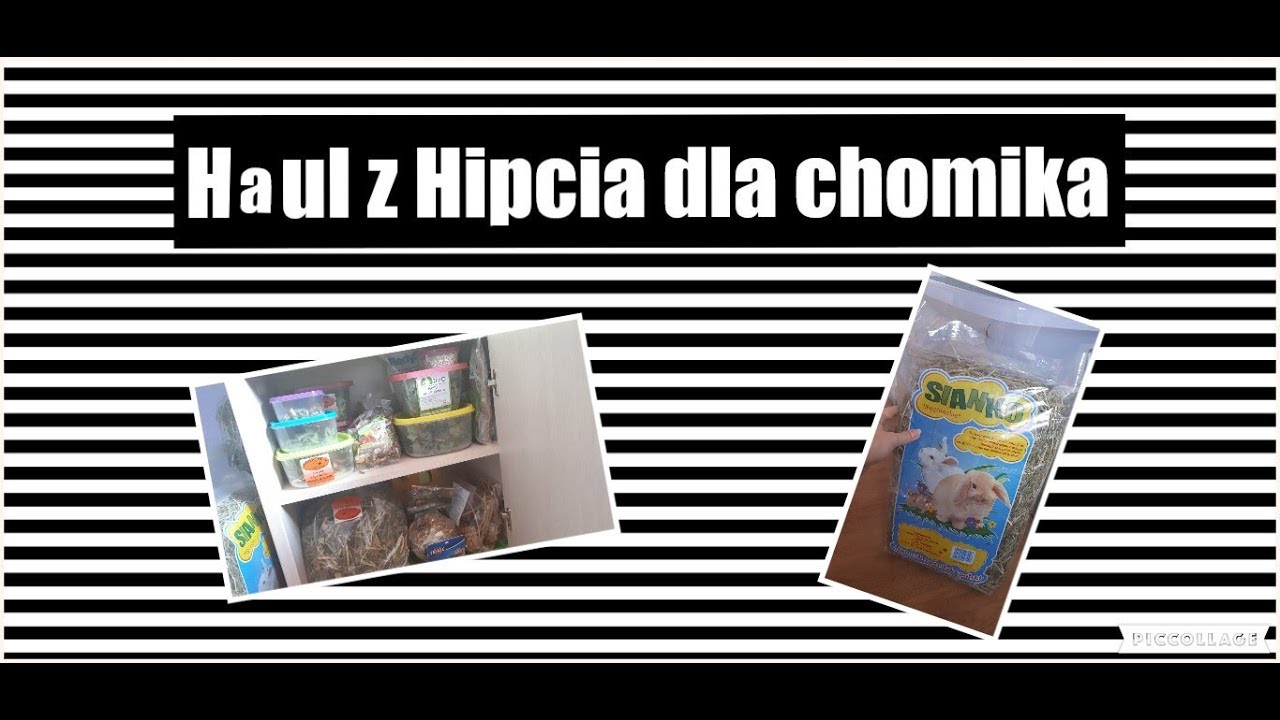 Haul dla chomika z Hipcia | Paczka z Hipcia dla chomika