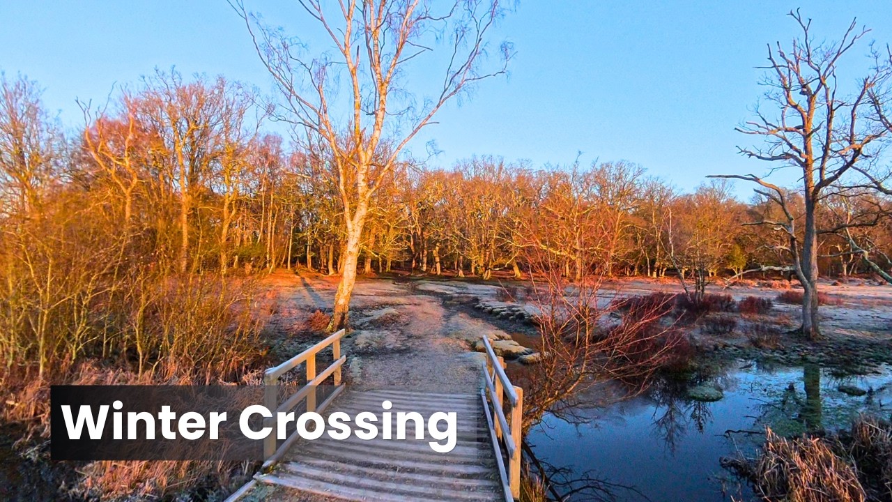 New Forest Walk - Shatterford & Denny Wood - Winter Sunrise